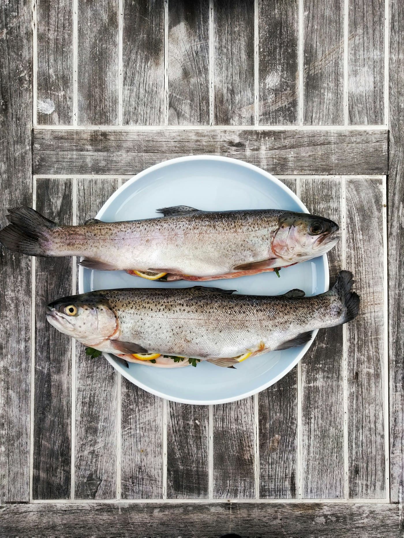 Fresh catch prepared for cold-chain export